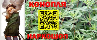 дмт Рыбинск
